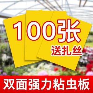 黄板双面粘虫板蓟马纸贴黄蓝飞虫小黑飞果园沾果蝇诱捕器粘板蚊子