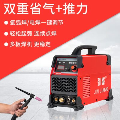 甄选劲量家用小型便携式110/220V电压WS-250氩弧焊 手工焊两用电