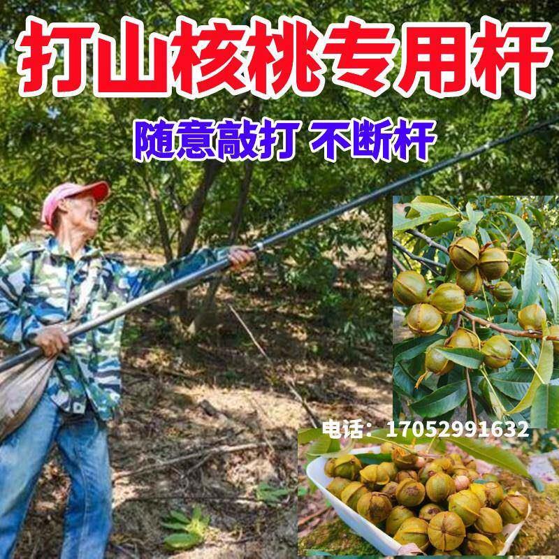 打山核桃杆专用任意伸缩高空采摘神器新款敲打长杆抽打板栗橄榄@