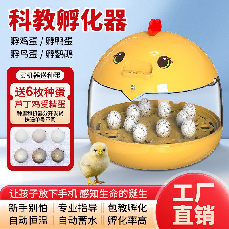 送蛋科教孵化器小型家用全自动控温恒温孵化箱芦丁鸡儿童孵蛋器