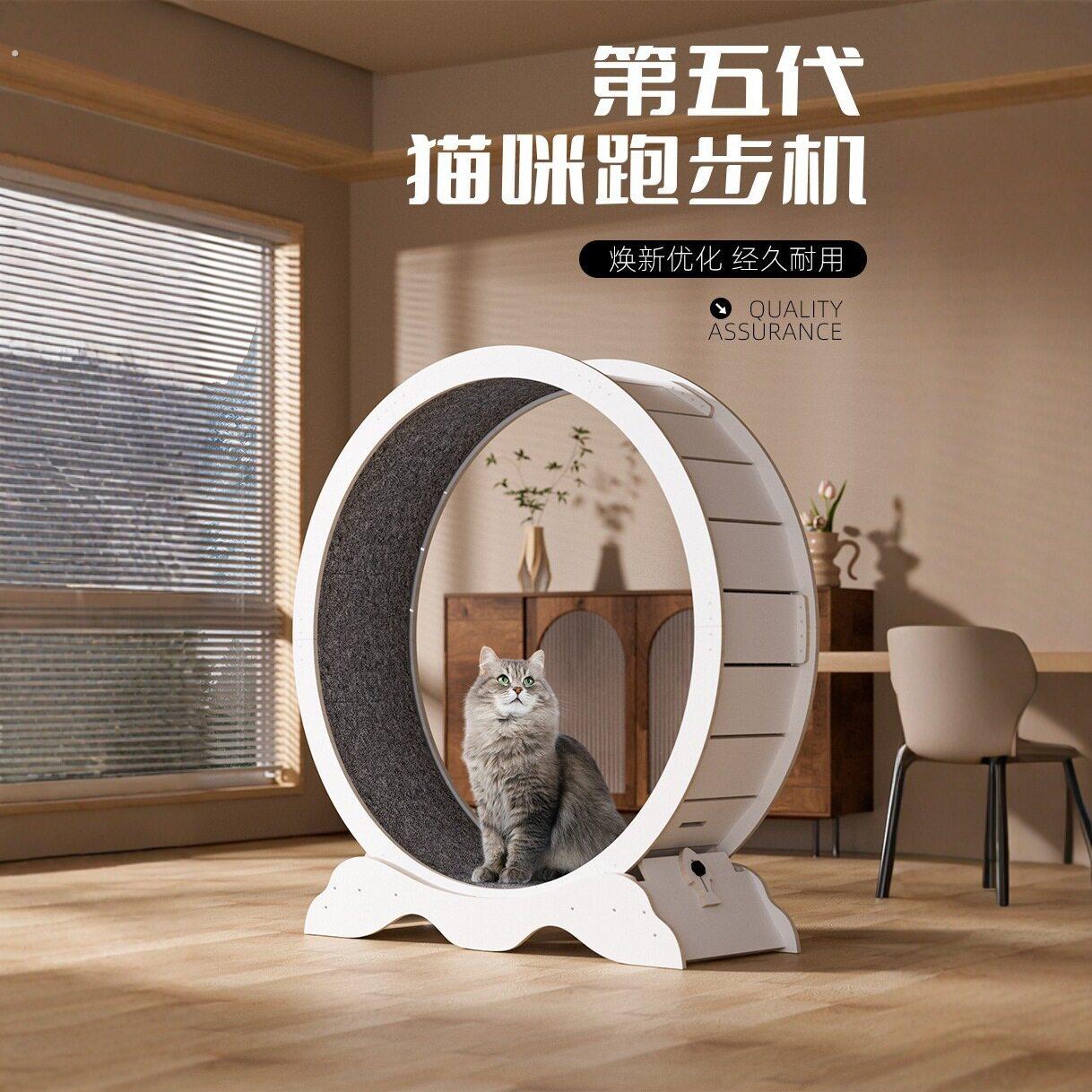 猫咪跑步机不夹脚滚轮圈宠物猫猫运动健身滚轮小型防卡脚雪貂跑轮