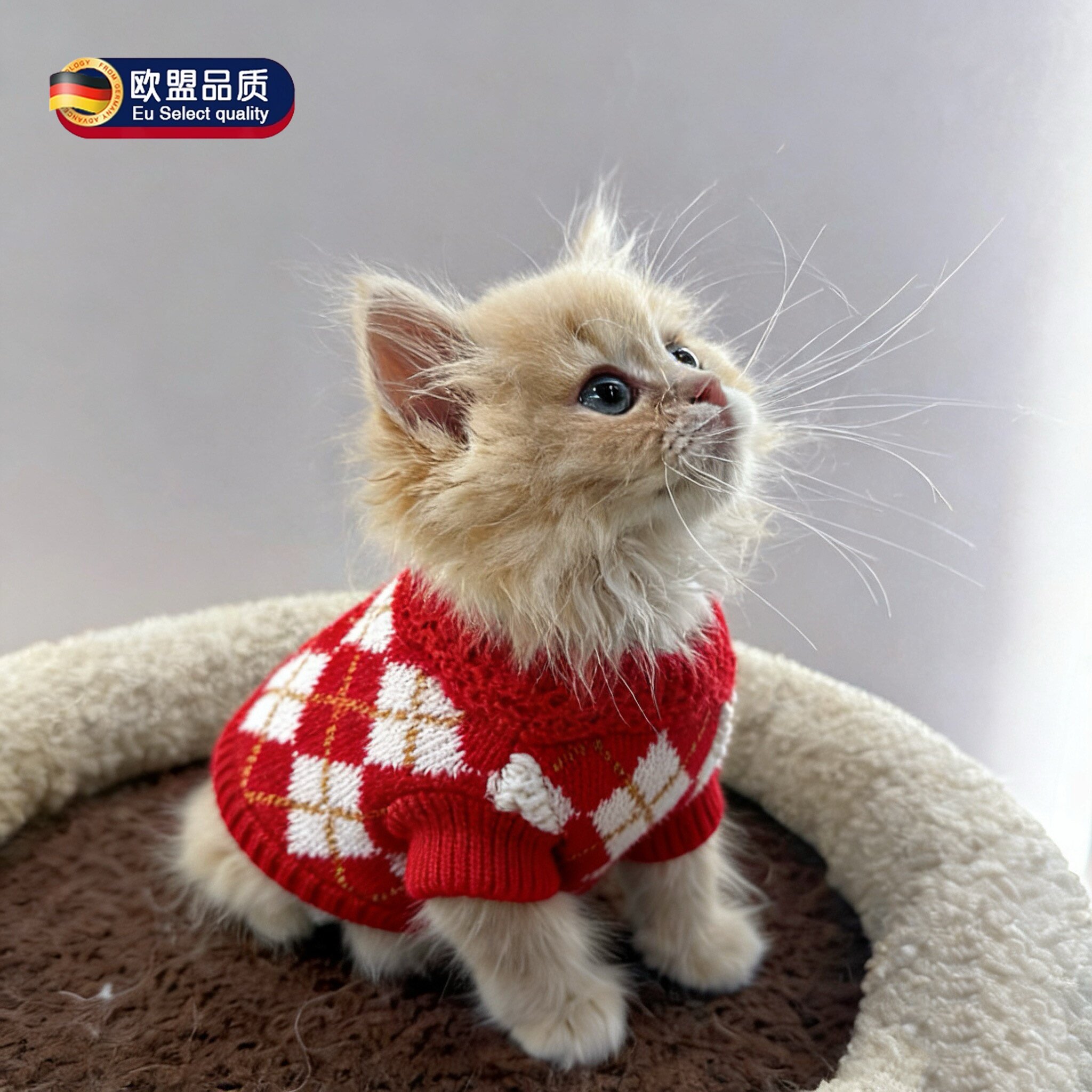 英国猫咪衣服冬装防掉毛秋冬款针织保暖毛衣猫狗通用中小宠物服装
