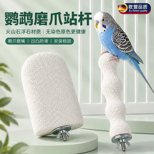 英国鹦鹉磨牙棒鹦鹉站台鸟专用品