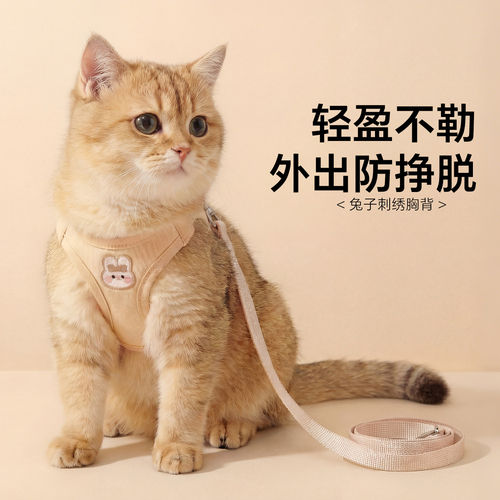 猫咪牵引绳胸背带防挣脱不勒脖