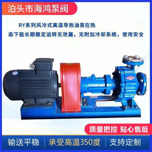 甄选RY温导热油离心泵 RY导热油泵 小功率热油循环泵 热油离心泵