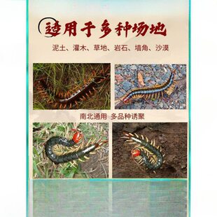 甄选抓蜈蚣神器户外活虫捉专用逮蜈蚣夹子诱食粉剂