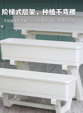 种草莓阶梯式花盆多层架立体组合加长加厚节省空间阳台室外种植箱