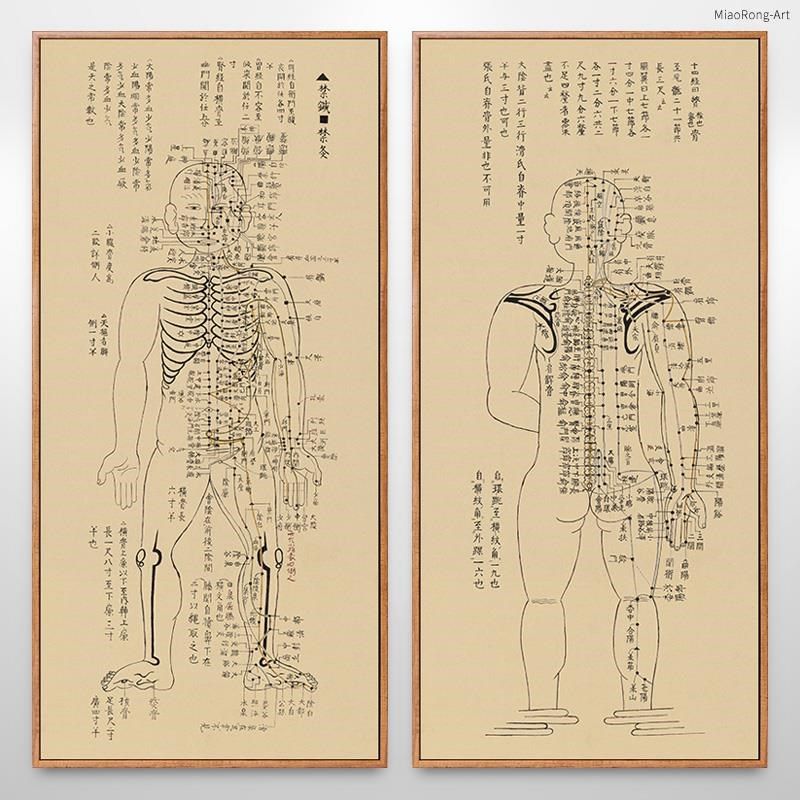 网红针灸铜装人穴位图人体经络全身经脉身体背古部饰画中医馆挂画