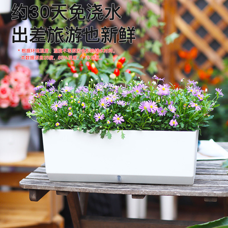 阳台蔬菜专用种菜花盆塑料懒人自吸花盆辣椒香葱长方形多肉种植箱