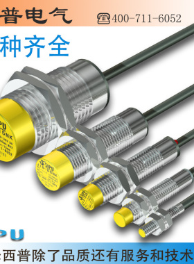 耐高温钢厂专用感测器H40-2025PK接近开关PH PT NK NH NT洞头西普