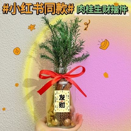 肉桂生财玻璃瓶摆件办公室桌面招财客厅乔迁之喜新居搬家入宅礼物