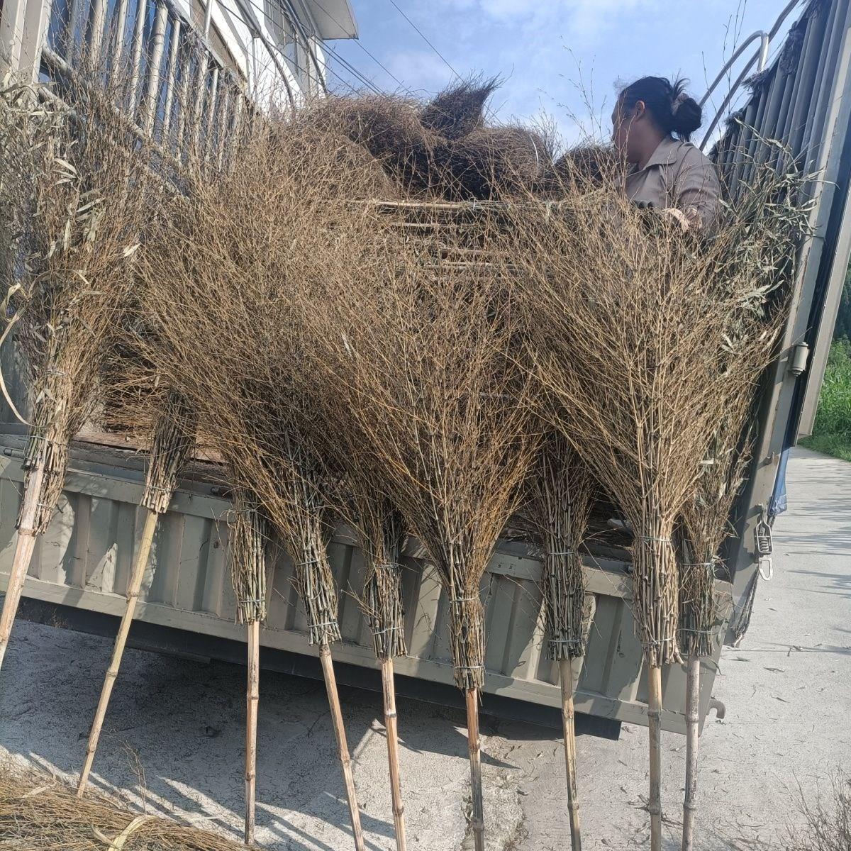 竹扫把户外专用农村庭院扫把竹子扫帚家用加厚耐用竹子扫把耐用