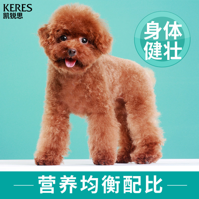 凯锐思狗狗罐头成犬幼犬零食专用宠物营养拌饭湿粮泰迪金毛整箱
