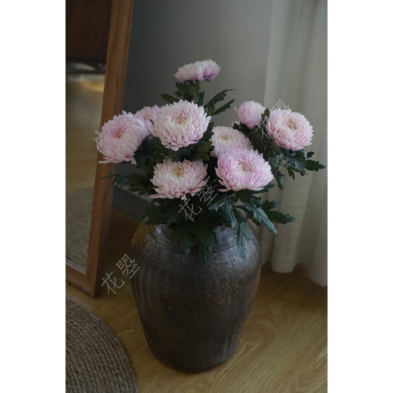 花曌 温柔樱花粉色牡丹菊鲜花水养真花家居瓶插花餐桌书桌面插花