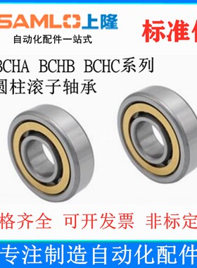 上隆原装圆柱轴承BCHA/BCHB/BCHC-17/20/25/30/35/40/45/50/55/60