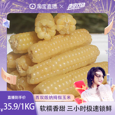 云南西双版纳拇指玉米迷你玉米