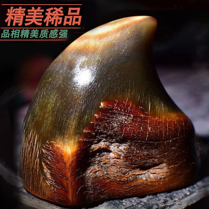 【保真】披毛犀整角装饰品小摆件珍贵收藏精美手把件角角