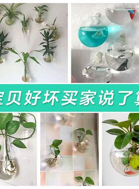 壁挂水培绿萝花瓶墙上水养植物玻璃瓶器皿挂墙创意透明悬挂式花盆