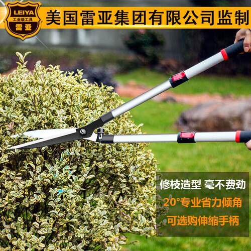 花剪园艺剪刀修枝剪花剪子工具大剪刀果树枝修剪草坪绿篱园林剪刀