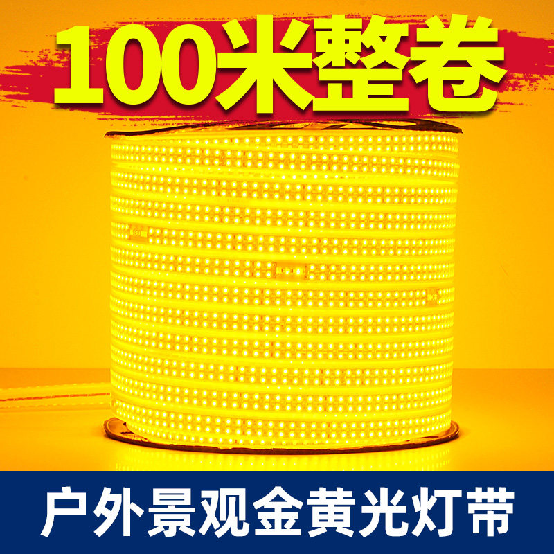 220v户外LED防水灯带工程外墙轮廓超亮地下室照明塔吊灯带条100米图片
