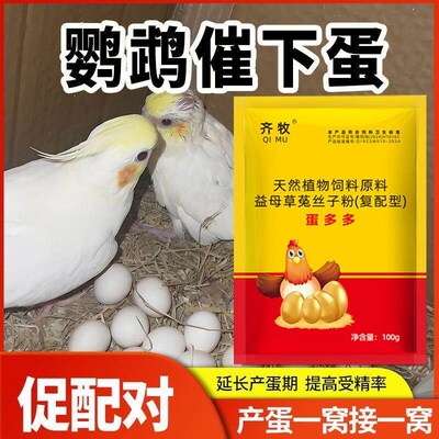 鹦鹉蛋多多增蛋宝促下蛋天然植物饲料益母草菟丝子粉提高受精率