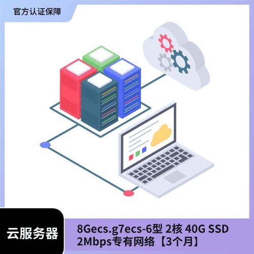 【3个月】云服务器 8Gecs.g7ecs-6型 2核 40G SSD  2Mbps