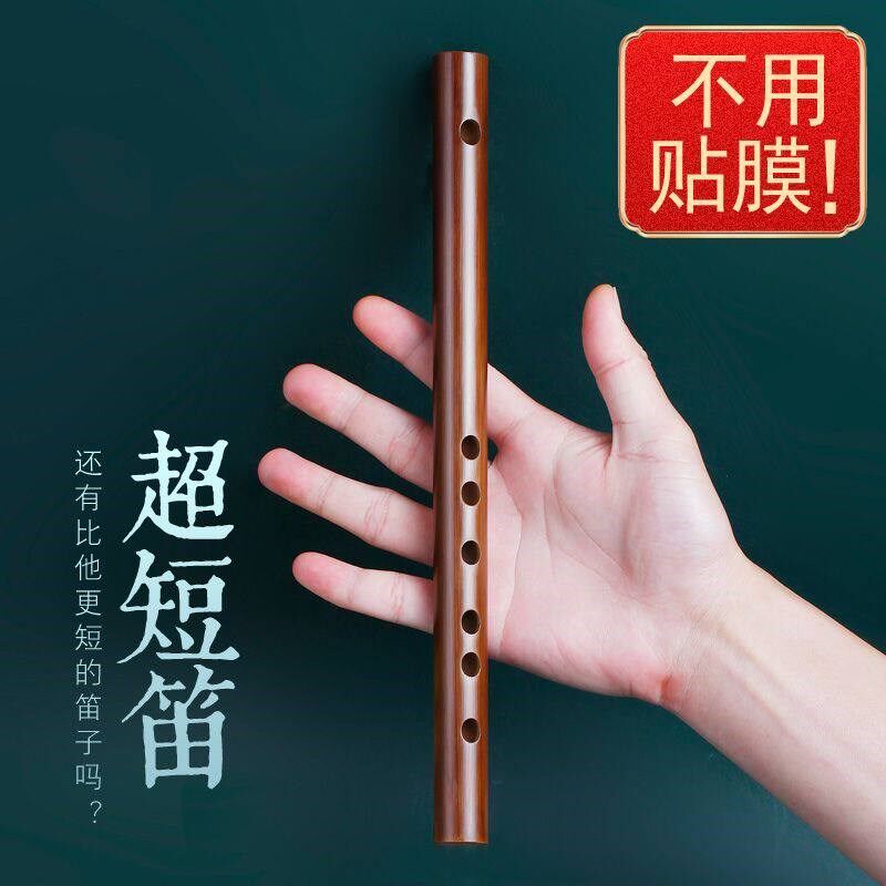 德国进口迷你短笛无膜孔初学横笛入门竹笛小笛子随身易学口袋乐器