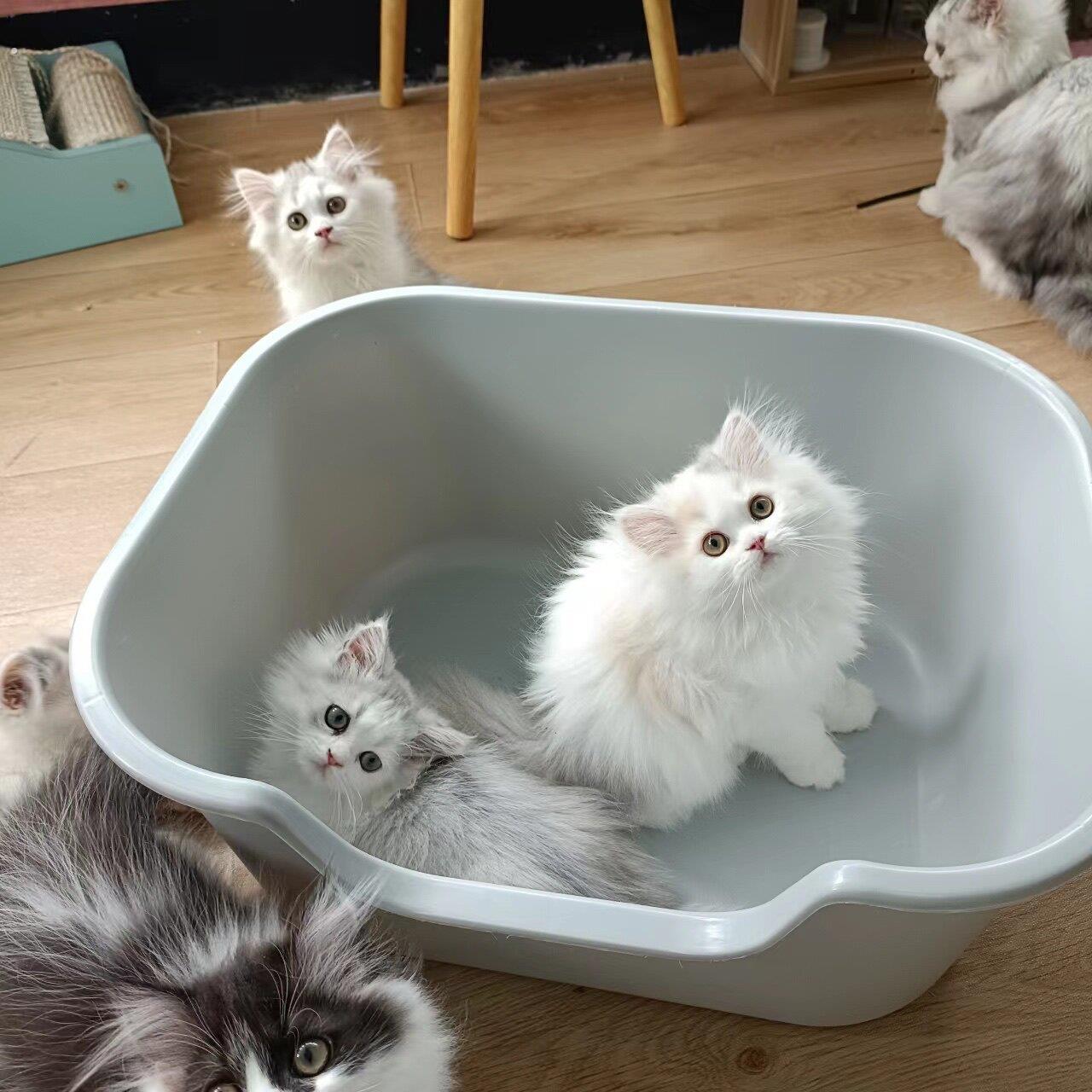 猫砂盆超大号全半封闭式猫厕所防外溅大小幼猫沙盆子屎盆猫咪用品