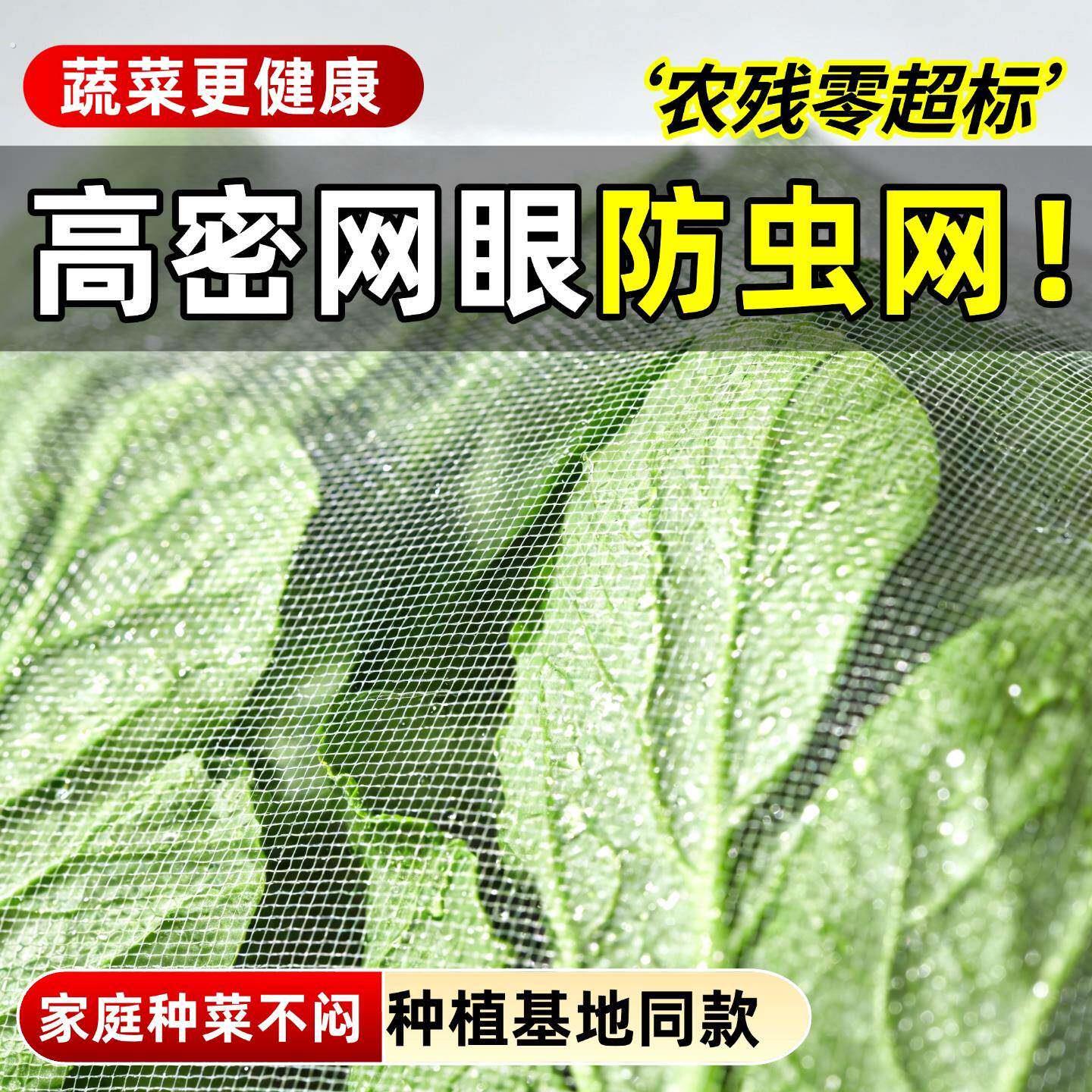 纱网防虫网大棚专用农用养殖网蔬菜网蝗虫果树果园种菜专用防虫网