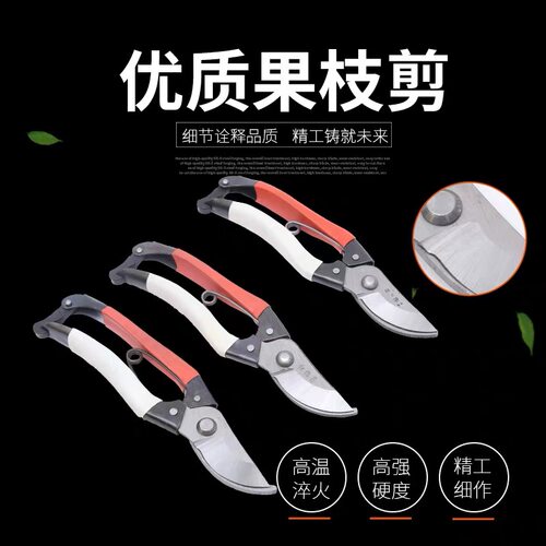 剪刀剪树枝专用修枝剪刀园林花卉果树花艺师专用修枝剪刀