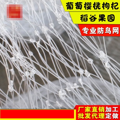 大棚草莓尼龙网果树防鸟用网阳台尼龙线丝网樱桃树罩果园纱网网子