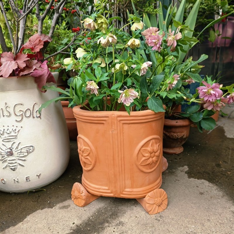 新品 红陶 花边四面铁线莲陶盆 浮雕 高温烧制 透气耐用粗陶花盆