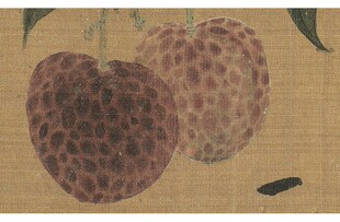 新品 北宋 赵佶红荔山禽图 宋画小品工笔花鸟画 临摹手稿装饰画