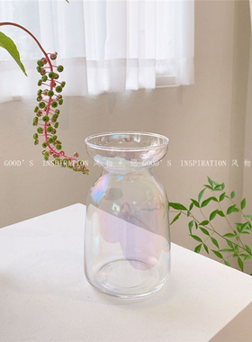玻璃花器 风信子牛油果水培花瓶幻彩透明插花家居摆件装饰软装