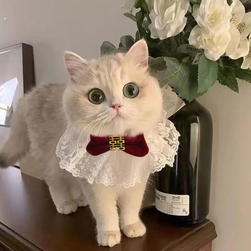 猫咪领结狗狗饰品小猫装扮配饰拍照围脖项圈英伦领带宠物猫蝴蝶结