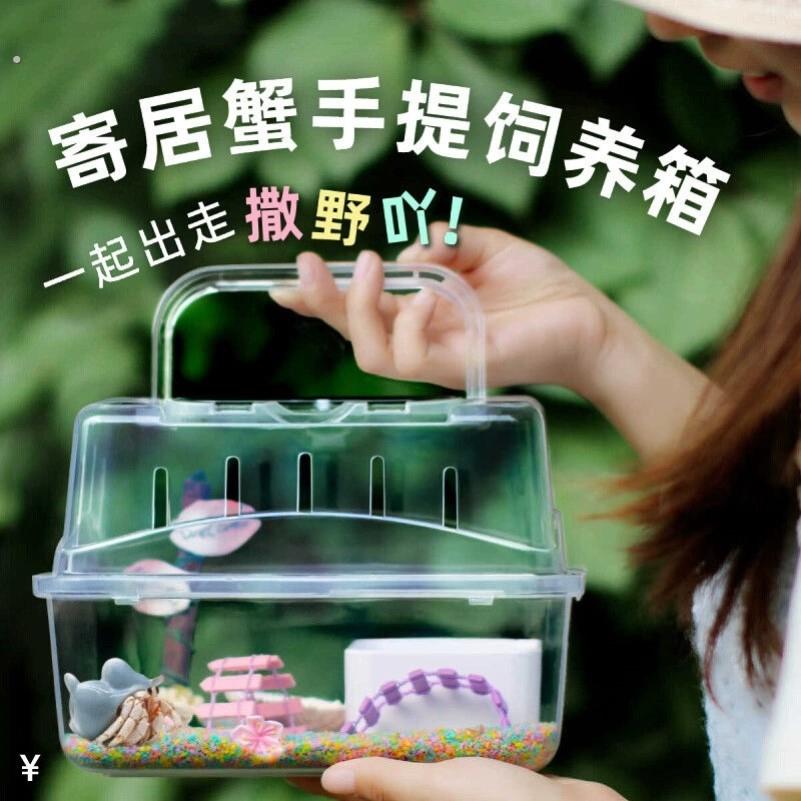 寄居蟹饲养盒子沙蟹饲养盒养乌龟专用盆寄居蟹豪华别墅新手饲养盒
