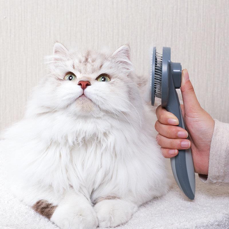 一键祛毛 懒人专用 猫咪梳子自洁梳去浮毛梳毛刷毛梳猫毛清理神器