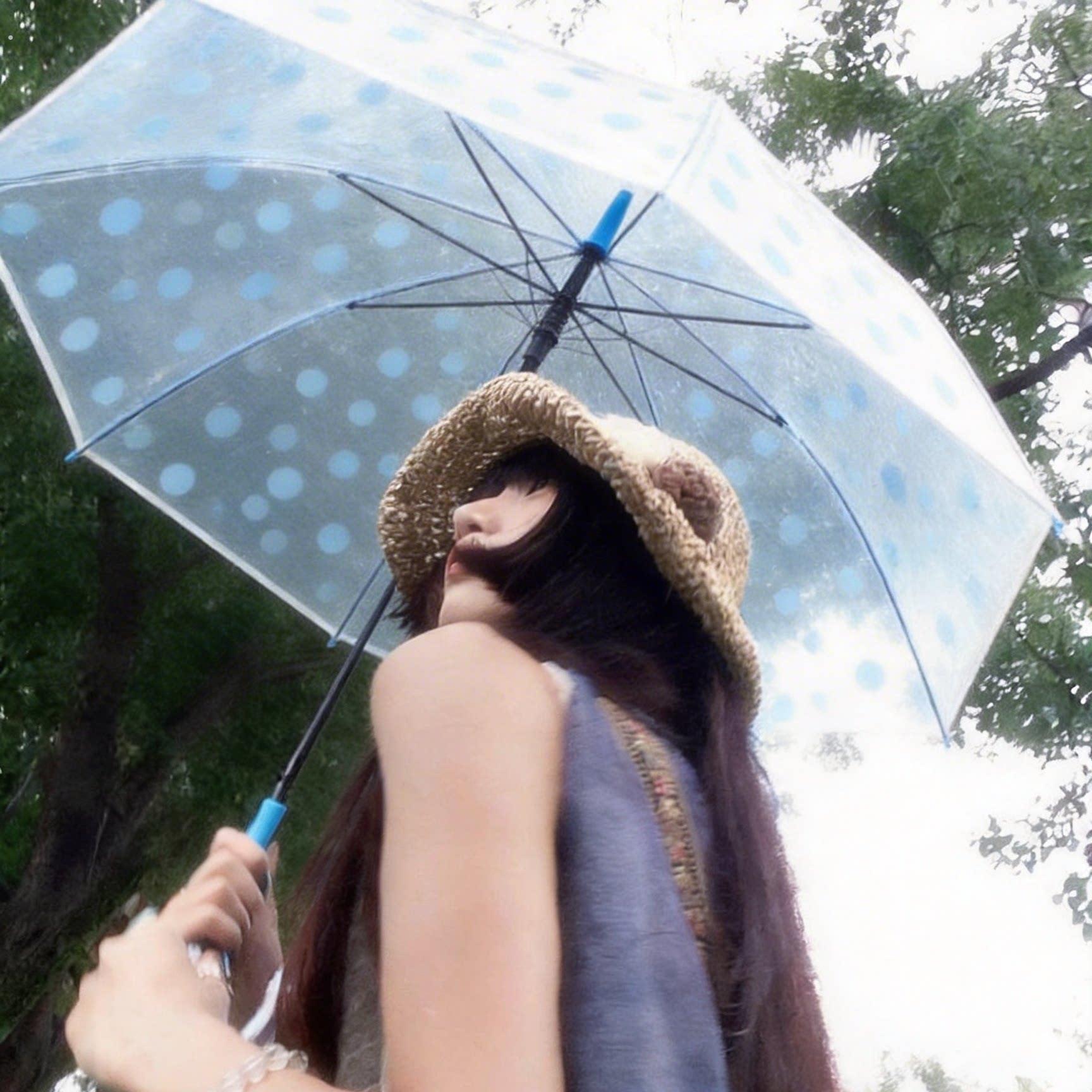 出片神器！透明雨伞加大加厚加固女生高颜值长柄可爱韩系2026新款图片