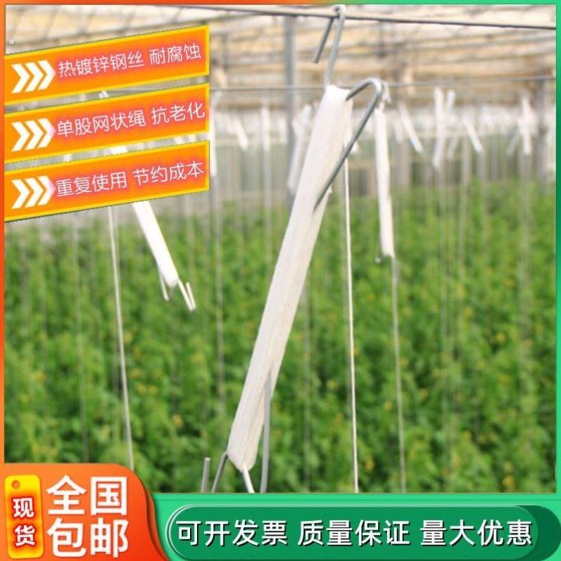 新大棚番茄吊秧钩西红柿吊蔓钩黄瓜挂钩西瓜木瓜甜瓜热镀锌钩吊绳