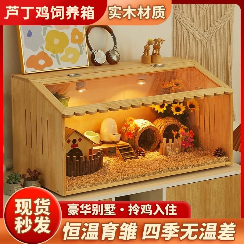 芦丁鸡饲养箱专用笼子小鸡育雏保温箱恒温造景小屋家用卢丁鸡养箱