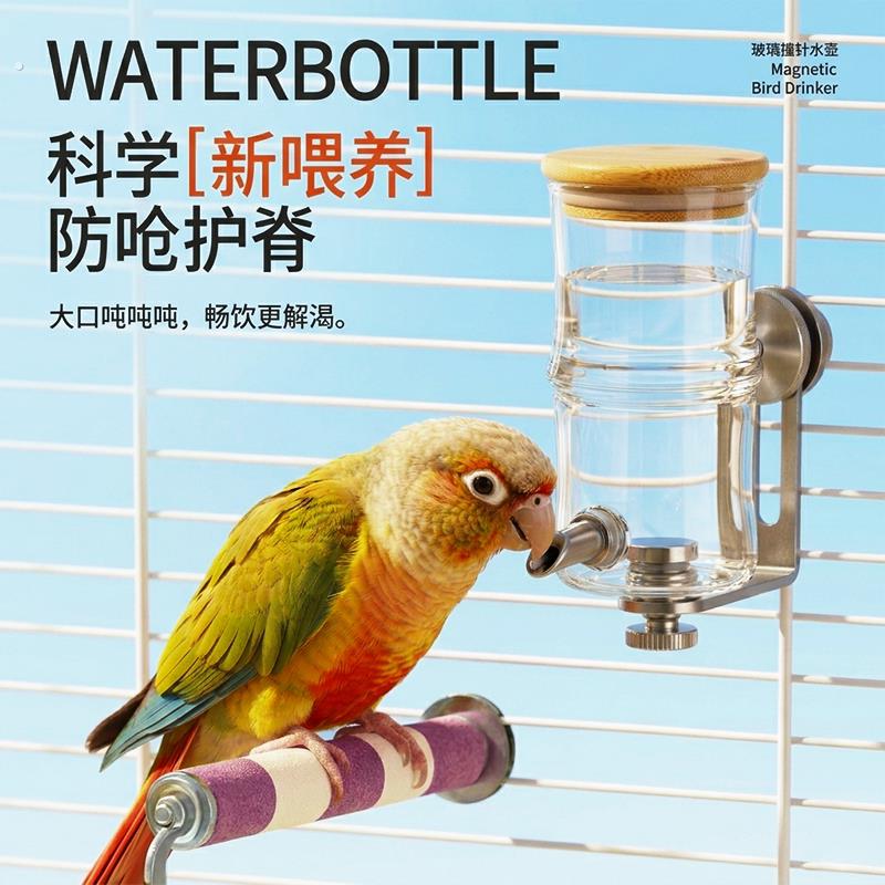 磁吸璃鹦鹉饮水壶不锈钢材质科学防呛防脊自动饮水器玄凤牡丹通用