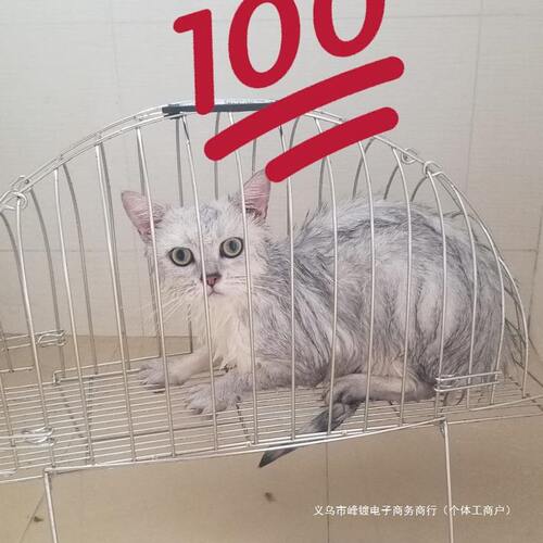 甄选宠物店专用洗猫吹风神器 固定笼猫洗澡笼 洗猫笼双门吹风笼防
