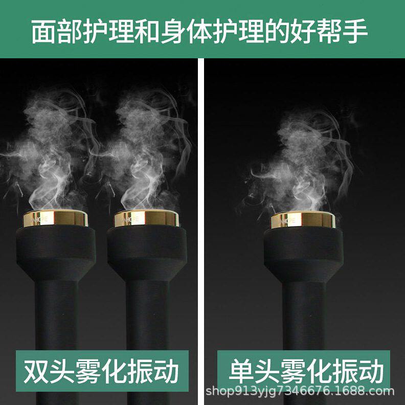 甄选尚赫同款超音波美容仪面部眼部仪美容院专用双头全身超声波导