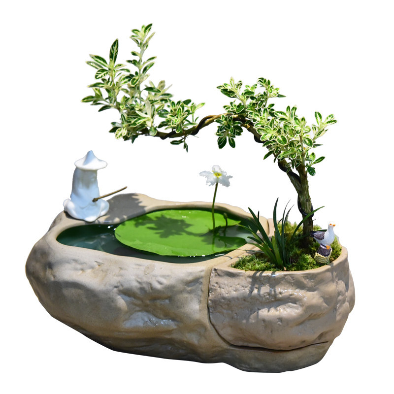 水培一叶莲植物黄杨绿植文竹小叶六月雪盆栽造型艺术米竹盆景室内