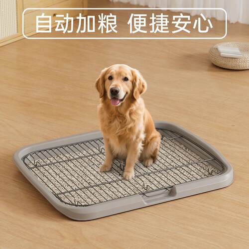 超大号平板铁狗厕所小中大型犬狗盆易清洗防踩屎狗尿盆宠物用品