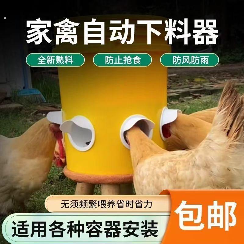 鸡鸭鹅全自动喂食器喂料桶鸡自动下料器家禽用料槽食槽重力喂食器