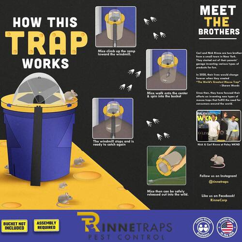 甄选跨境爆款捕鼠器室内室外自动重置翻盖捕鼠陷阱Mouse Trap
