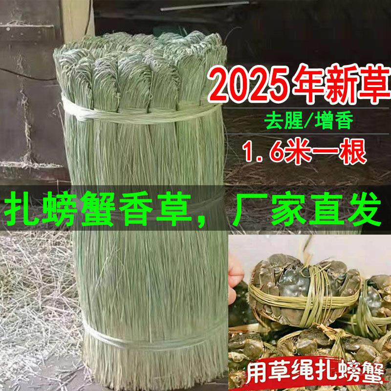 扎螃蟹香草绳子绑大闸蟹捆青蟹草绳马莲草去腥增香蟹绳加粗捆蟹绳