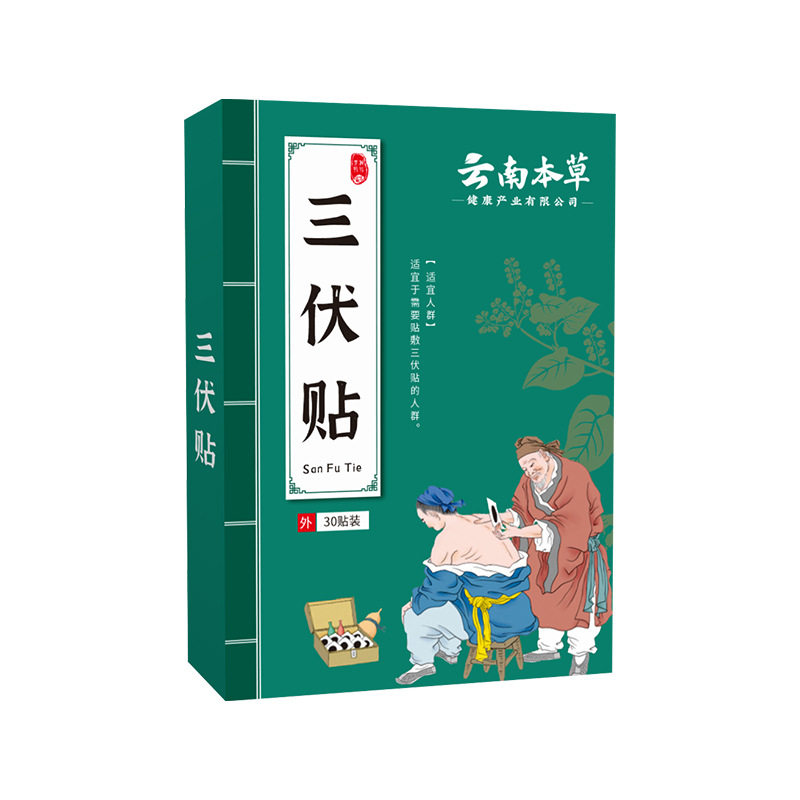 三伏贴艾草温灸贴三伏膏贴穴位图