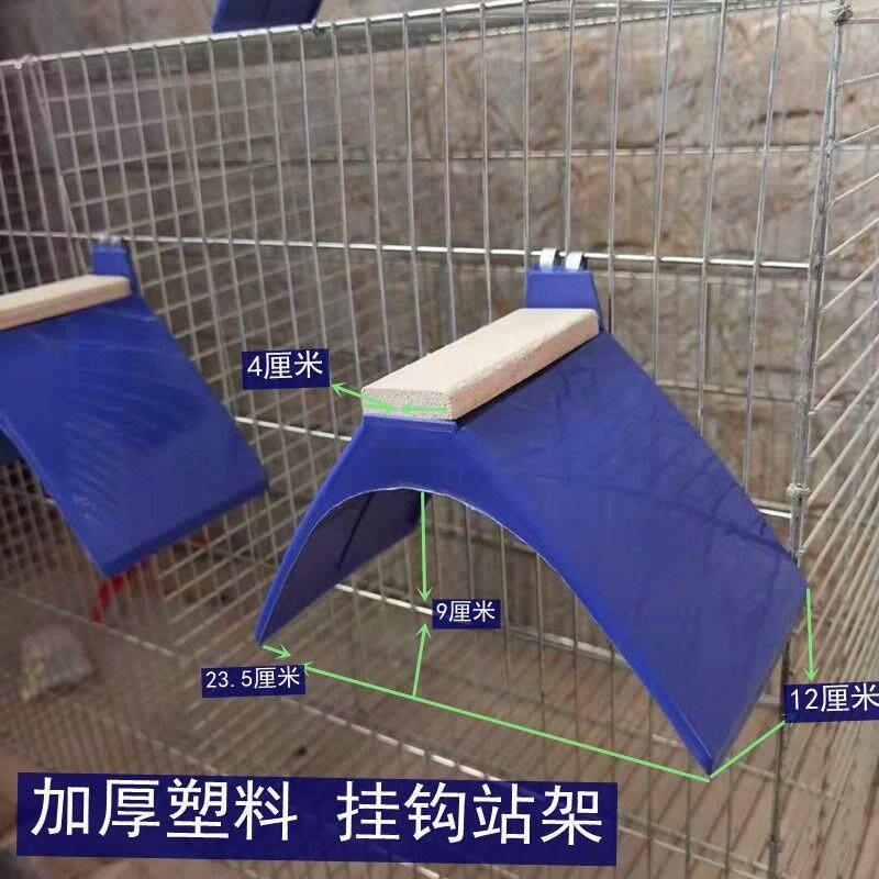 赛鸽信鸽专用塑料蛋窝 鸽子挂钩站架鸽子用品用具鸽具栖架站架